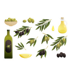 Olive Oil Cartoon Set