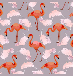 Flamingo And Pink Feathers