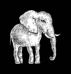 Hand drawn african elephants with black line art Vector Image