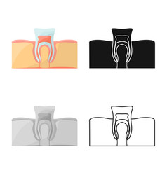 Isolated Object Tooth And Gingiva Symbol