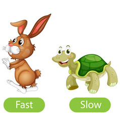 Rabbit runs fast and turtle runs slow Royalty Free Vector