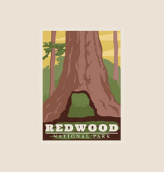 Reed Wood National Park Print Poster Vintage