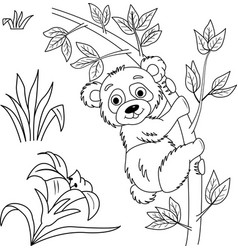 Clipart Of A Funny Panda On Branch