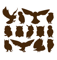 Owl Silhouettes Flying Black Bird Icons