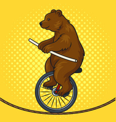 Circus Bear Rides Tightrope On Unicycle