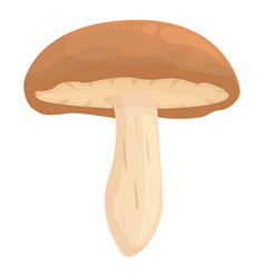 Agriculture Shitake Icon Cartoon Mushroom