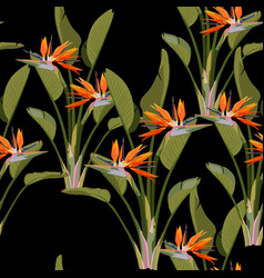 Bird Of Paradise Tropical Orange Flowers Seamless