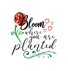 Bloom Where You Are Planted Quote Lettering