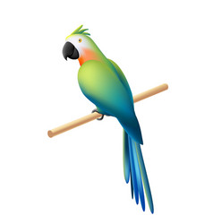 Cartoon Cute Parrot Sitting On A Bar 3d