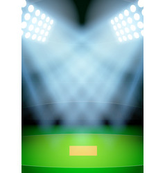 Background For Posters Night Cricket Stadium