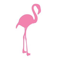 Flamingo Standing Silhouette