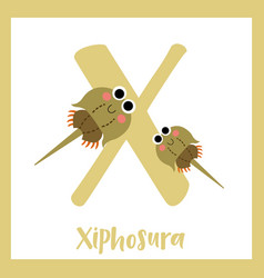 Letter X Vocabulary Xiphosura