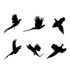 A Set Flying Pheasants