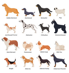 Profile Dogs Icon Set