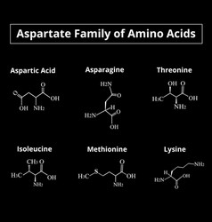 A Family Amino Acids Aspartate Chemical