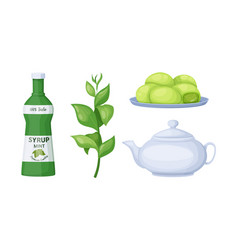 Matcha Tea Products Teapot Of Beverage Mint Syrup