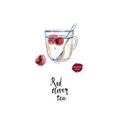 Red Clover Flower Tea In Watercolor