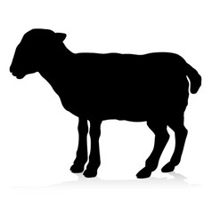 Sheep Farm Animal Silhouette