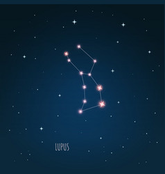 Constellation Lupus Scheme In Starry Sky Space