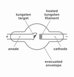 X-ray Tube Radio Field Creator