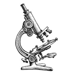 Hand Drawn Sketch Vintage Microscope Medical