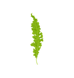 Flat Icon Of Bird S Nest Fern Bright Green