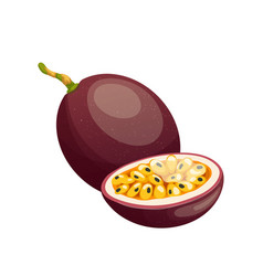 Passion Fruit Cut Cartoon