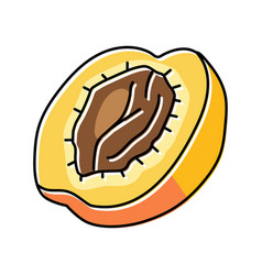 Cut Apricot Fruit Color Icon