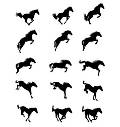 Horse Jumping Animation Sprite Sheet Loop