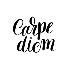 Carpe Diem Hand Written Lettering Positive Quote