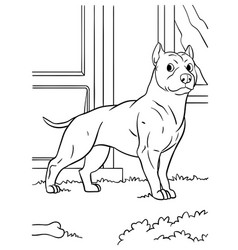 Pit Bull Coloring Page For Kids