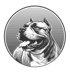 Dog Portrait Pit Bull Engraving Sketch