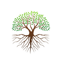 Tree With Roots Logo Or Icon