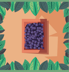 Wine Grapes Inside Box Design