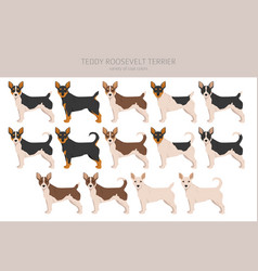 Teddy Roosevelt Terrier Clipart Different Poses