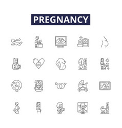 Pregnancy Line Icons And Signs Fetus