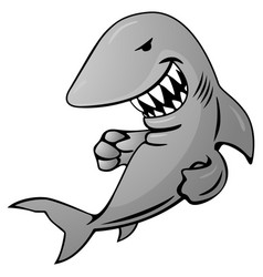 Shark Cartoon