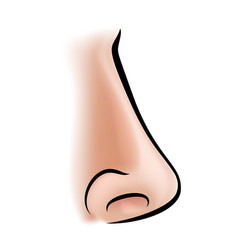 Nose Body Part