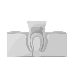 Design Tooth And Gingiva Icon Web