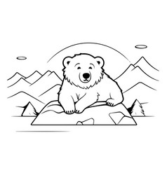 Cute Polar Bear Sitting On A Rock