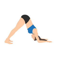 Olphin Pose Ardha Pincha Mayurasana Exercise