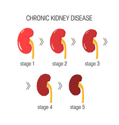 Chronic Kidney Disease