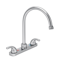 Stainless Steel Faucet