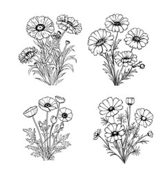 Doodle Bouquets Set Hand Drawn Flowers