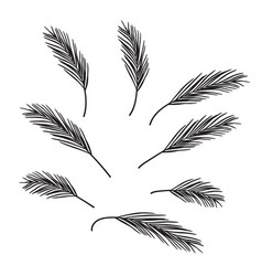 Black Branches Pine Needles Design Element