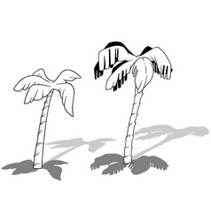 Drawing Of Two Coconut Palm Trees