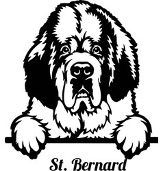 Saint Bernard Dog - Peeking Breed Pet