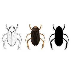 Set Water Boatman In Three Style On White