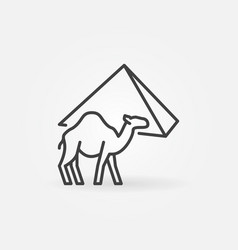 Egyptian Camel And Egypt Pyramid Concept Thin