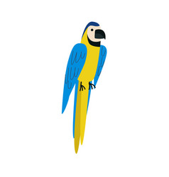 Blue And Yellow Macaw Parrot Perched Tropical